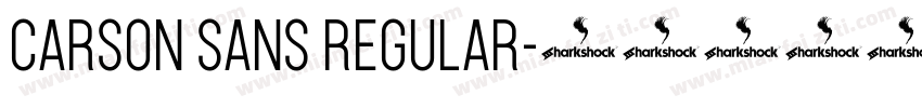 Carson Sans Regular字体转换